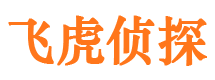 沙河口市婚姻调查